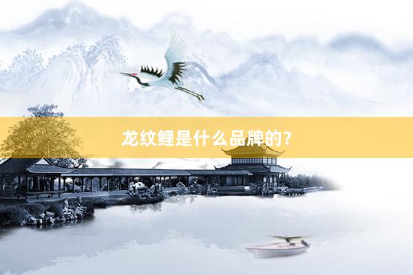 龙纹鲤是什么品牌的？